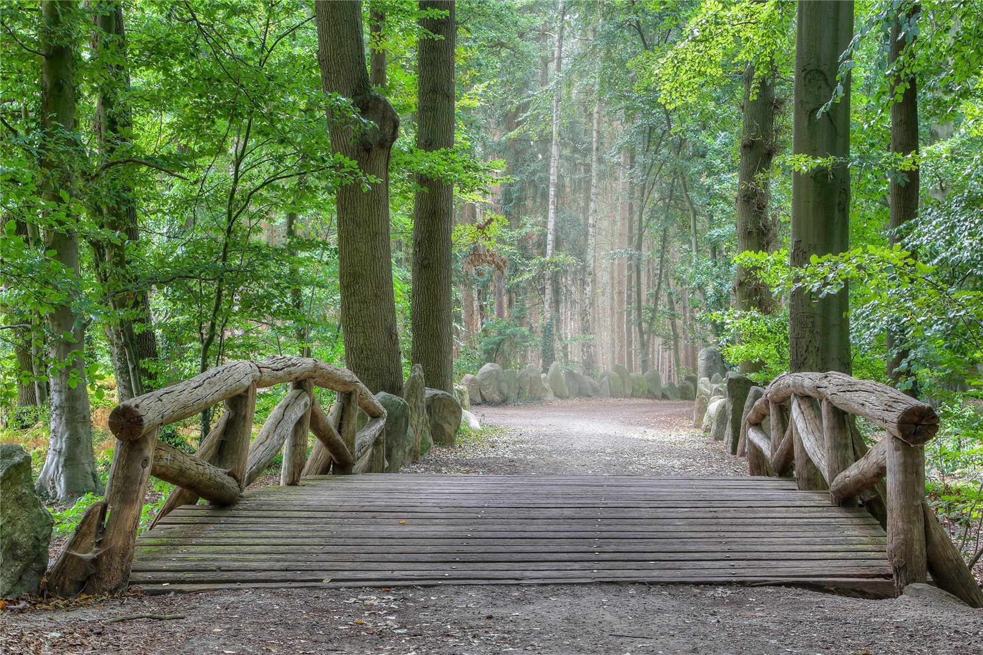 Sachsenhain Verden, AdobeStock_537372360.jpeg